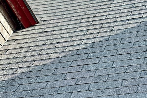 Full Services Contractor Work